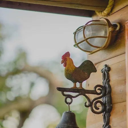 Farm stay Orangia Ecohosting Farm