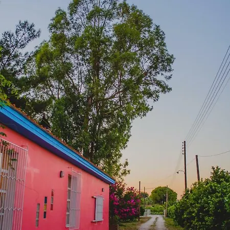 Farm stay Orangia Ecohosting Farm