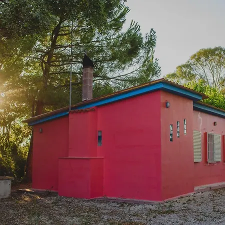 Farm stay Orangia Ecohosting Farm *